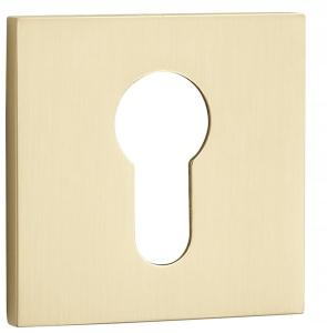 SZYLD KRÓTKI KWADRATOWY WKŁADKA SLIM ZŁOTA SZCZOTKOWANA WĄSKA LEKKA 6 MM