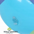6cdc46987a2dfe4f189da10b2498e956