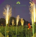 8ecbb8a8b7083d245aa0da5cd5c3f032