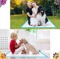 PODKŁADY HIGIENICZNE DLA PSA MATY DO NAUKI SIKANIA XL 40X60 CM 50 SZTUK