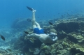 ZESTAW DO NURKOWANIA PŁYWANIA SNORKELINGU MASKA PŁETWY RURKA KOMPLET CZARNY