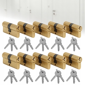 10 szt WKŁADEK WKŁADKA DRZWIOWA 30V30 DO ZAMKA SYSTEM JEDNEGO KLUCZA