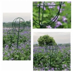 PERGOLA OGRODOWA TARASOWA METALOWA PODPORA DO PNĄCZY RÓŻ KWIATÓW 50X10CM