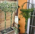PERGOLA OGRODOWA TARASOWA METALOWA PODPORA DO PNĄCZY RÓŻ KWIATÓW 50X10CM