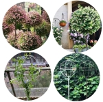 PERGOLA OGRODOWA TARASOWA METALOWA PODPORA PNĄCZY RÓŻ KWIATÓW 50X10CM BIAŁA
