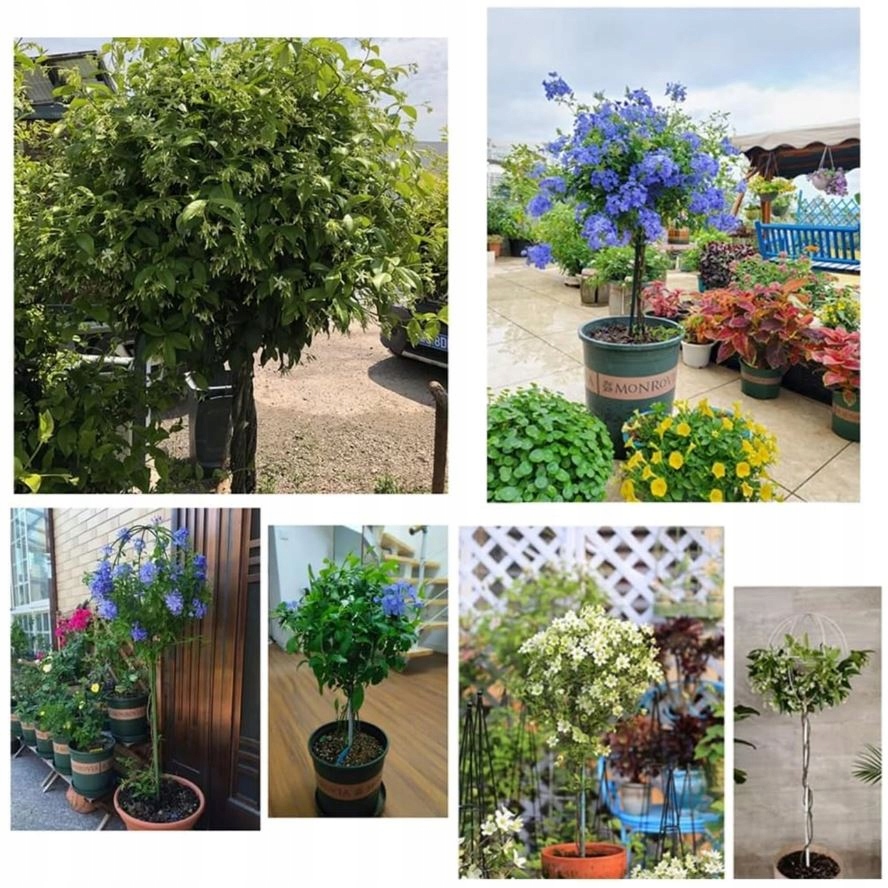 PERGOLA OGRODOWA TARASOWA METALOWA PODPORA PNĄCZY RÓŻ KWIATÓW 50X10CM BIAŁA