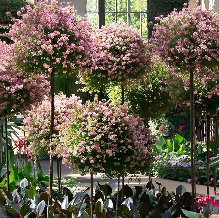 PERGOLA OGRODOWA TARASOWA METALOWA PODPORA PNĄCZY RÓŻ KWIATÓW 50X10CM BIAŁA