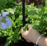 PERGOLA OGRODOWA TARASOWA METALOWA PODPORA DO PNĄCZY RÓŻ KWIATÓW 50X10CM