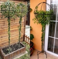 PERGOLA OGRODOWA TARASOWA METALOWA PODPORA DO PNĄCZY RÓŻ KWIATÓW 50X10CM