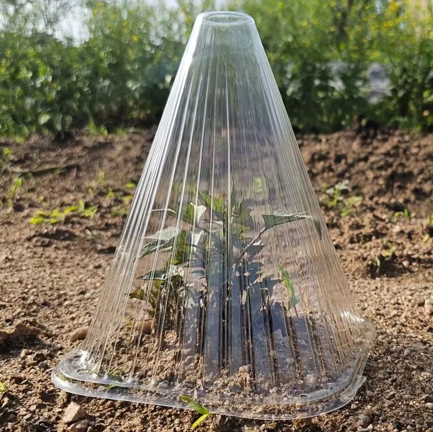 KLOSZ OSŁONA 22CM DO ROŚLIN SADZONEK SZKLARNIA KLOSZE ZABEZPIECZAJĄCE 10SZT