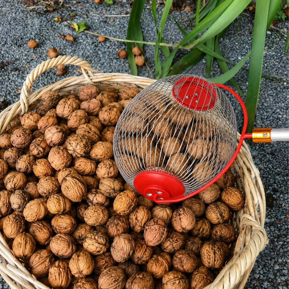 ZBIERACZ TELESKOPOWY DO ORZECHÓW PIŁEK JABŁEK OWOCÓW ZBIERAK TRZON 48-105cm