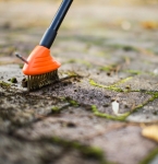 dd242b1a4e038dcd0ed09c978575