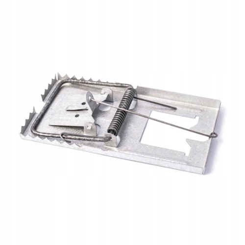 5405d3da4df9975540ee2fba7405