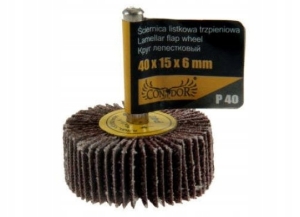 ŚCIERNICA LISTKOWA TRZPIENIOWA 40 x 15 mm P 40